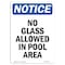 Signmission OSHA Notice, 5" Height, No Glass Allowed In Pool Area Sign, 5" X 3.5", Portrait OS-NS-D-35-V-14629 - alternate 1